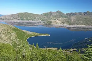 Landslide: Spirit Lake choked with dead timber as a result