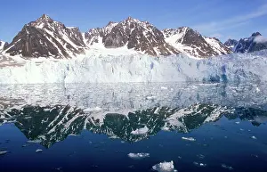 Magdalena: SPITZBERGEN - Magdalena Bay