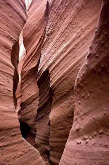 Fossilised: Spooky slot canyon cut through Navajo sandstone