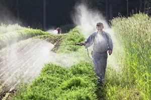 Fertilizer: Spraying fertiliser