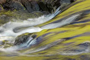 Gold: Spring foliage colors and sky reflecting on ripples on small