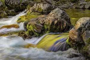 Gold: Spring foliage colors and sky reflecting on ripples on small