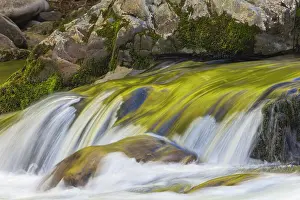 Gold: Spring foliage colors and sky reflecting on ripples on small