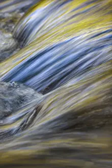 Gold: Spring foliage colors and sky reflecting on ripples on small