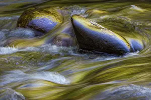 Gold: Spring foliage colors and sky reflecting on ripples on small