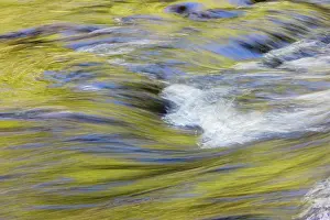 Gold: Spring foliage colors and sky reflecting on ripples on small