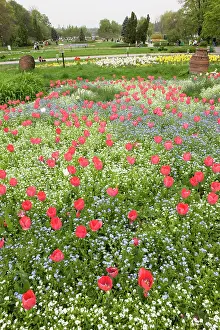 Romania: Spring in Herastrau Park in the City center