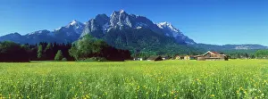 Mountained: Spring meadow with Mt Zugspitze near Grainau, Bavarian