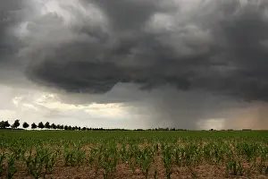 Liquid: Spring thunderstorms in the Eurelian region. Numerous