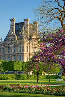 Paris: Springtime in Jardin des Tuileries with