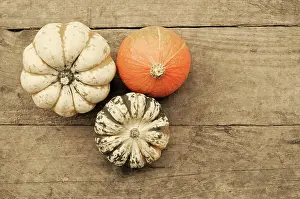 Dumpling: Squash