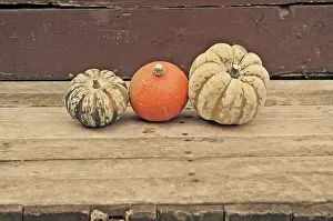 Dumpling: Squash