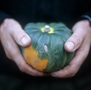 Adoring: Squash