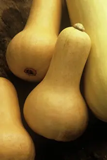 Nurturing: Squash