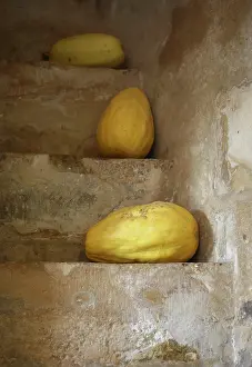 Steps: Squash
