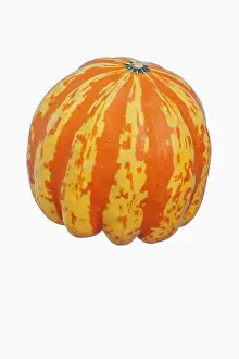 Acorn: Squash, Carnival squash, Cucurbita pepo Carnival