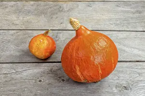 Maxima: Squash Potimarrons on a wooden table, autumn, Pas