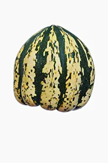 Squash: Squash, Winter squash Sweet Dumpling, Cucurbita