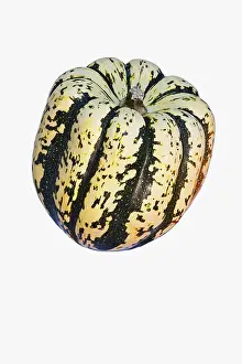 Squash: Squash, Winter squash Sweet Dumpling, Cucurbita