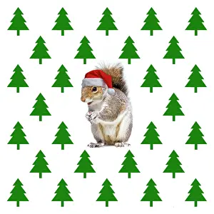 281217: Squirrel, wearing Christmas hat with Christmas tree