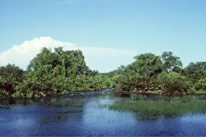Joanna Van Gruisen: SRI LANKA - Kumana Villu, Ruhuna NP, Yala
