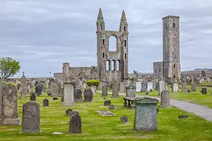Fife: St Andrews Cathedral - eastern cemetery with east