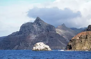 Boobie: St Helena - at south east side, George Island