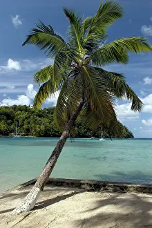 Yachts: St. Lucia - Azure setting, beach and palm tree