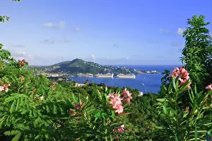 Charlotte: St. Thomas, US Virgin Islands. Charlotte