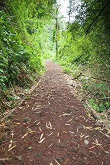 Grenadine: St. Vincent and the Grenadines. Hiking trail