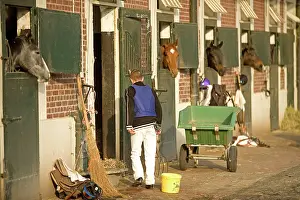 Wiht: Stableyard - with jockey and horses looking over