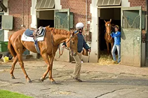 Bridles: Stableyard - jockey leading horse by bridle