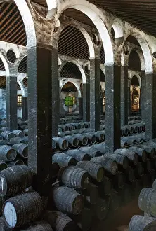 Stacked: Stacked oak barrels in the cellar La Catedral at the B