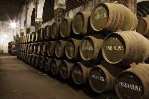 Stacked: Stacked oak barrels in one of the cellars at the