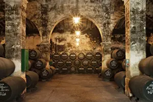 Stacked: Stacked oak barrels in one of the cellars at the