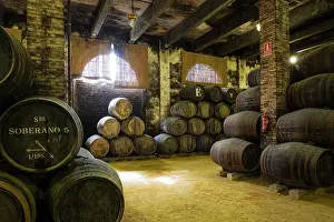 Stacked: Stacked oak barrels in one of the cellars at the Bodega