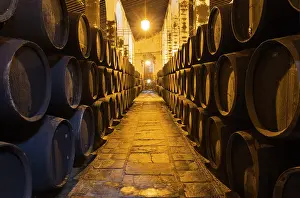 Stacked: Stacked oak barrels in one of the cellars at the Bodegas