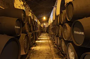 Stacked: Stacked oak barrels in one of the cellars at the Bodegas