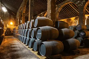 Stacked: Stacked oak barrels in one of the cellars at the Bodegas
