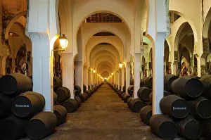 Stacked: Stacked oak barrels in the wine cellar La Mezquita at