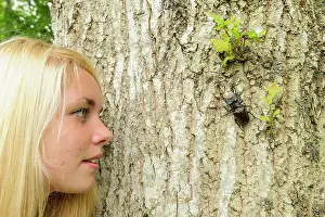 Inquisitive: Stag Beetle