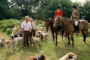 James Marchington: Stag Hunting - quantock staghounds