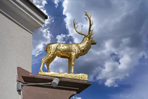Resort: Stag statue from the Hotel Deer, Marktpl