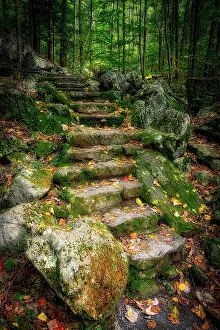 Step: Staircase to Wigwam Falls, Virginia, Blue Ridge Parkway