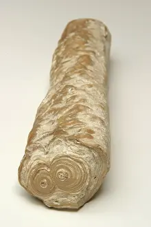 Speleothems: Stalactite