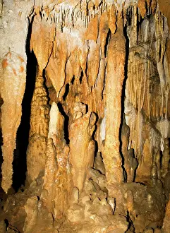 Stalactite: Stalactite and Column Formations, Florida Caverns State Park