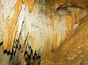 Stalactite: Stalactite Formation in Florida Caverns State Park