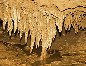 Stalactite: Stalactite Formation in Florida Caverns State Park