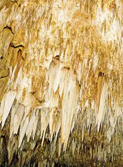 Guadalupe: Stalactite Formations in Carlsbad Caverns