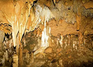 Flowstone: Stalactite Formations in Florida Caverns State Park